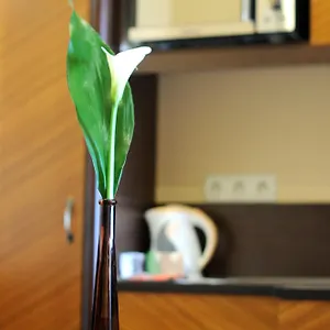 **** Hotel Baron Ungheria
